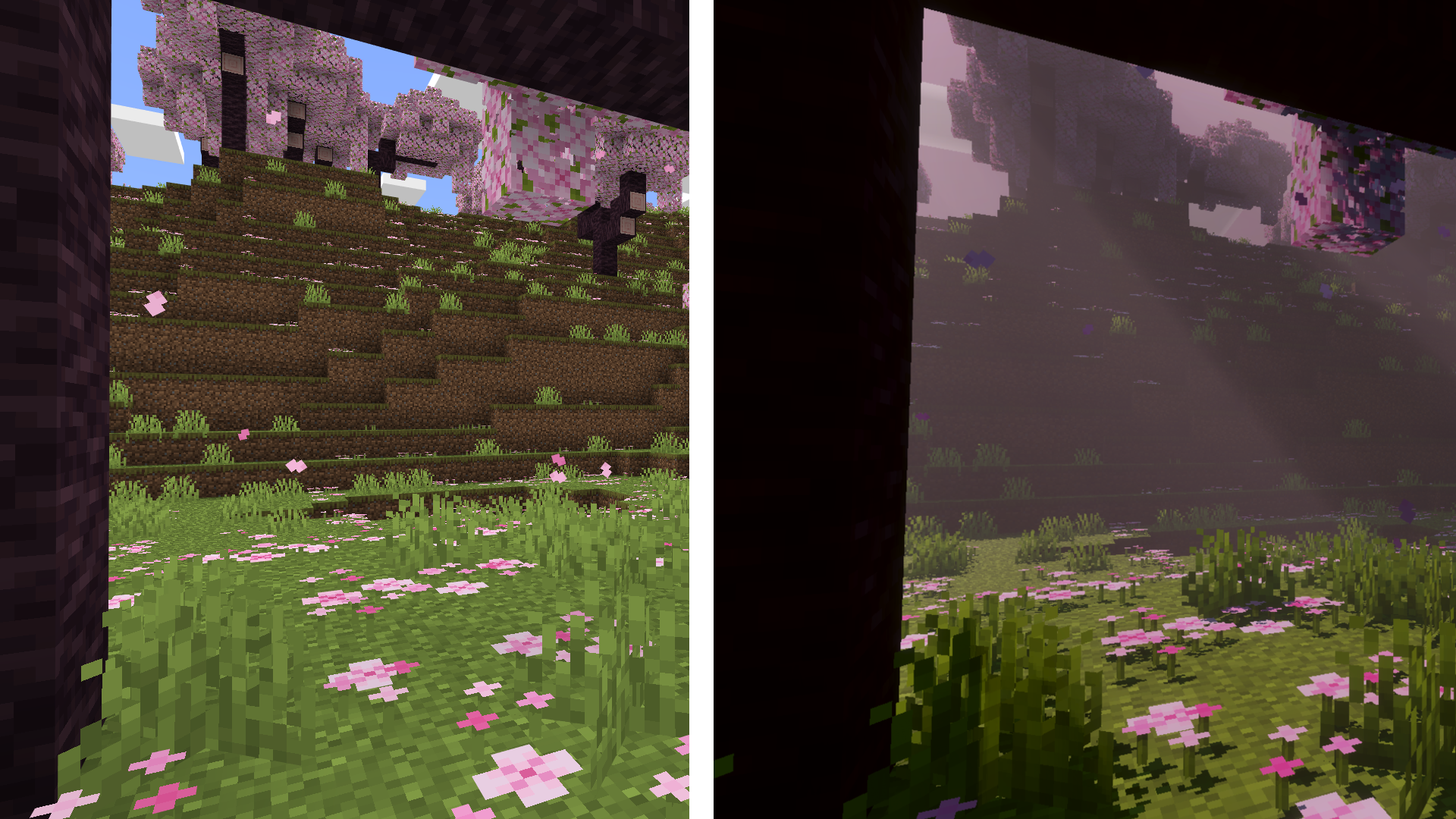 Cherry blossom with dramatic lighting