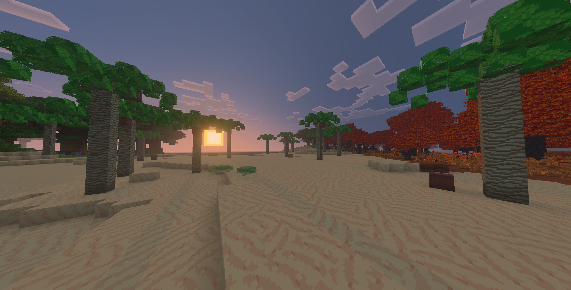 Palm Trees & Coconuts